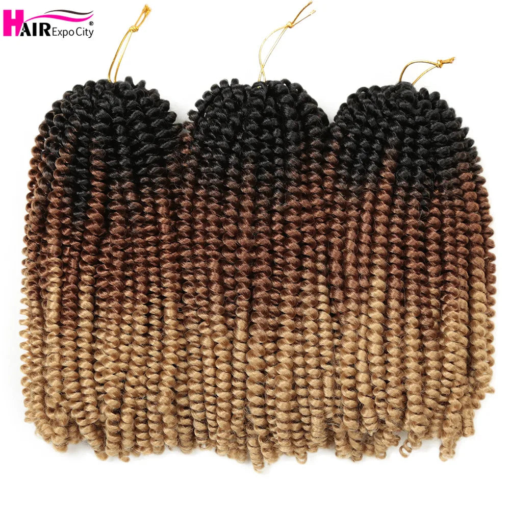 12 Inch Spring Twist Hair Afro Fluffy Synthetic Twist Braids Ombre Crochet Hair Extensions For Women Wholesale Hair Expo City